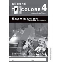 Encore Tricolore 4 Grammar in Action Workbook Pack (x8) 